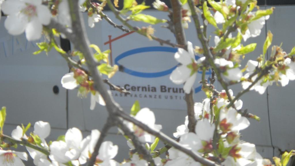 Case Vacanze La Cernia Bruna Isola di Ustica ภายนอก รูปภาพ