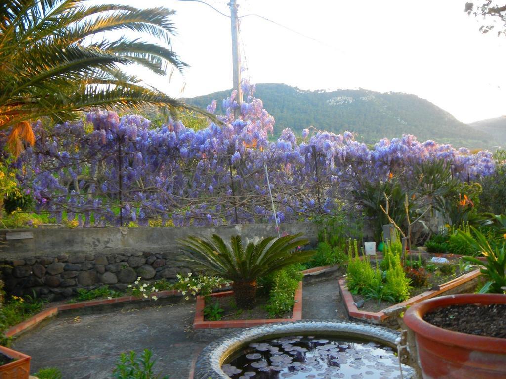 Case Vacanze La Cernia Bruna Isola di Ustica ภายนอก รูปภาพ